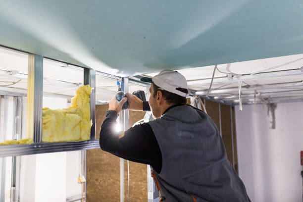 Best Insulation Maintenance and Repair in Romancoke, MD